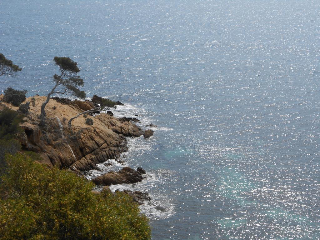 Sowell Hotels Du Golfe De Saint-Tropez Гримо Экстерьер фото